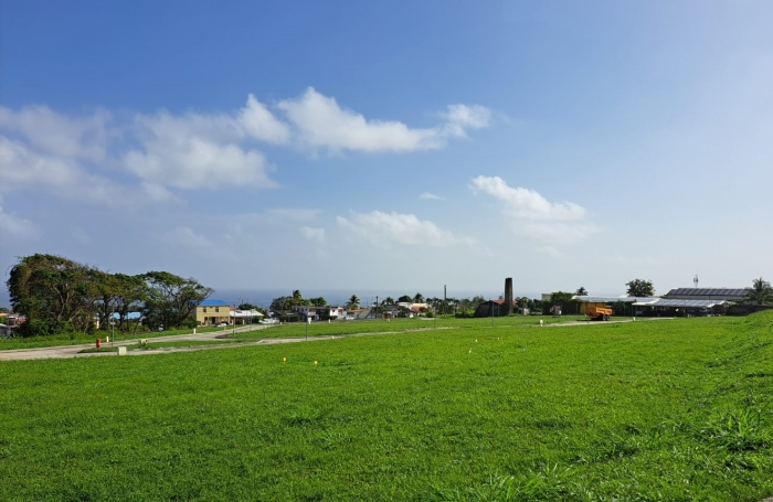 BASSE POINTE Hackaert - Lotissement Enclos - 28 parcelles