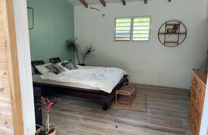 Ensemble immobilier sur grand terrain, idéal investissement - SAINTE-LUCE