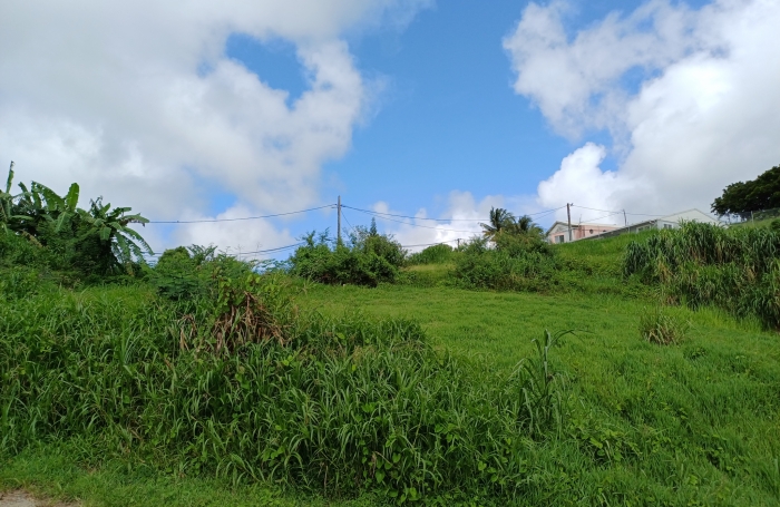 RIVIERE SALEE Fonds Masson Terrain à bâtir