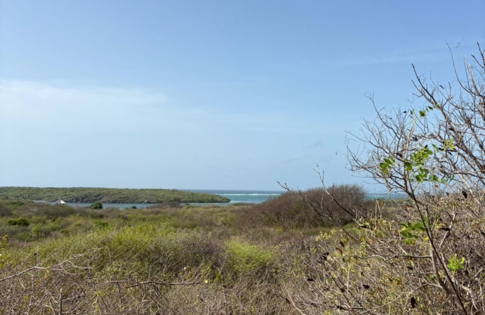 Terrain de 1100 m2 avec vue mer au Cap Chevalier - SAINTE-ANNE