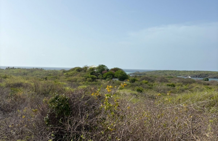 Terrain de 1100 m2 avec vue mer au Cap Chevalier - SAINTE-ANNE