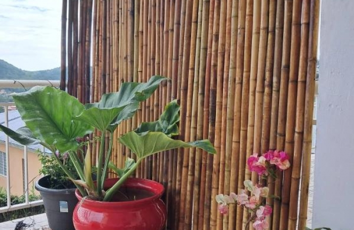 Location Appartement 80m&sup2; 2 pièces Les Trois Ilets