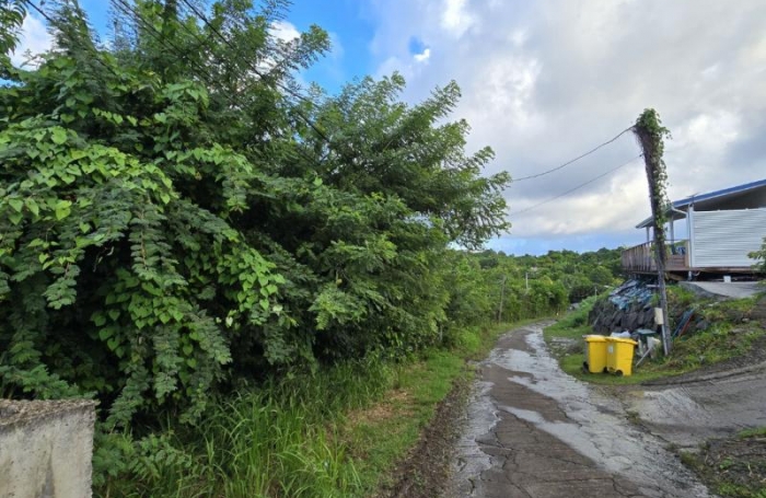 Vente Terrain 1300m&sup2; Le Marin