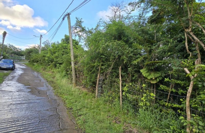Vente Terrain 1300m&sup2; Le Marin