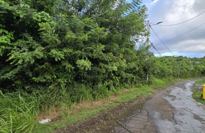 Vente Terrain 2600m&sup2; Le Marin