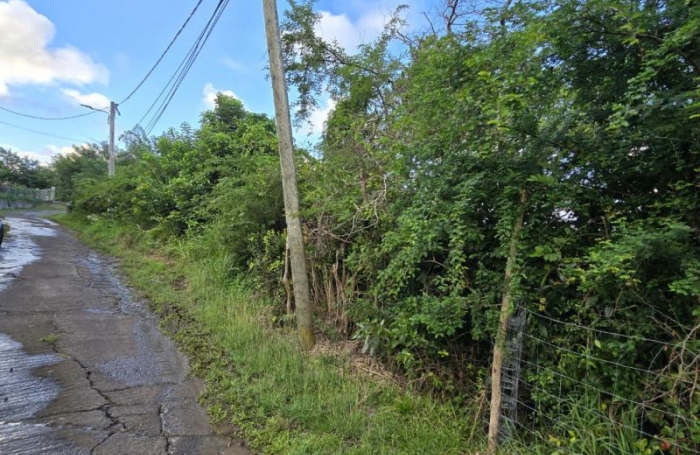 Vente Terrain 2600m&sup2; Le Marin