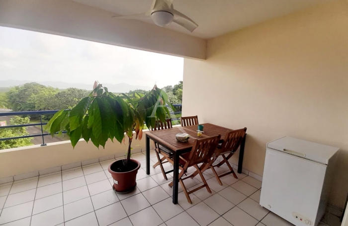 Location Appartement 51.27m² 3 pièces Le Lamentin
