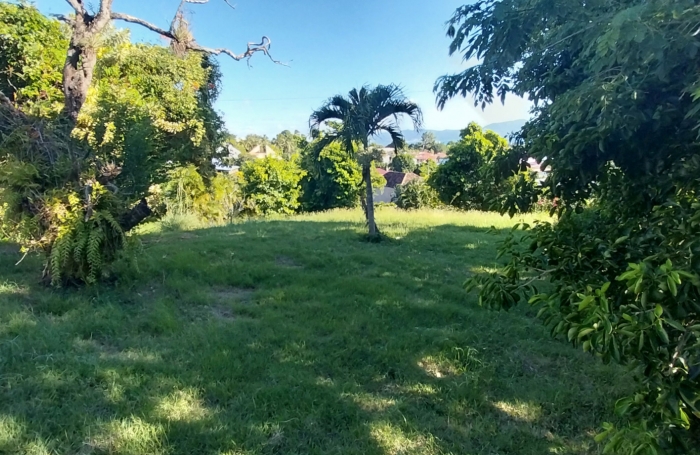 Maison sur 2846 m2 de terrain avec piscine - SCHOELCHER