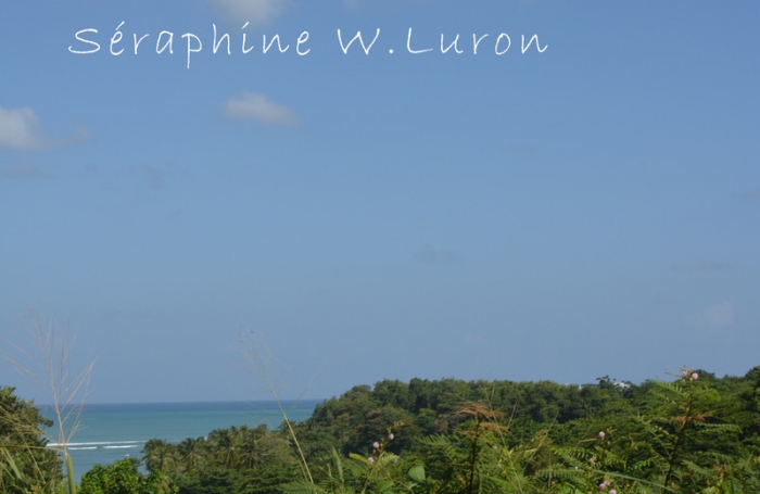 Vente Terrain 97220