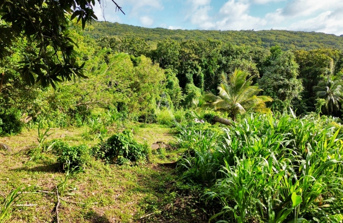 Vente Terrain 