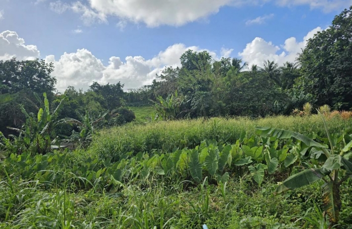 Vente Terrain 1592m&sup2; Sainte Marie