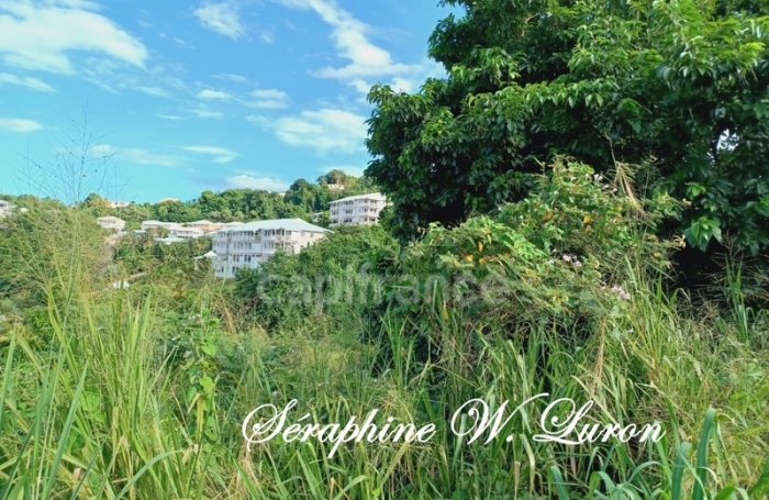 Vente Terrain 2247m&sup2; La Trinit&eacute;