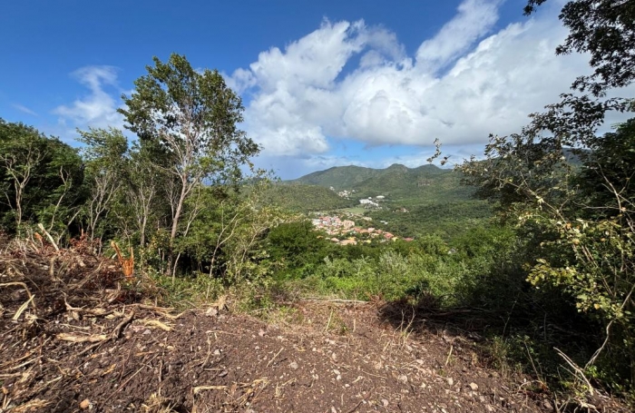 Vente Terrain 97217