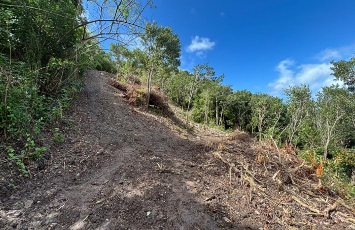 Vente Terrain 1326m&sup2; Les Anses d'Arlet