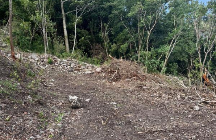 Vente Terrain 1326m&sup2; Les Anses d'Arlet
