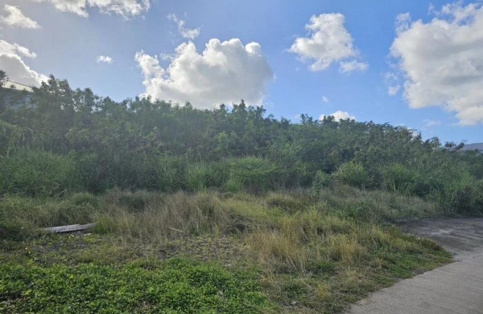 Vente Terrain 623m&sup2; Le Diamant