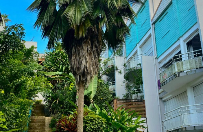 Vente Appartement 