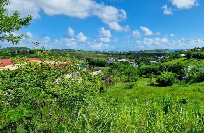 Vente Terrain 97280