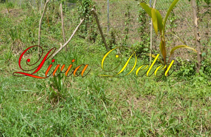 Vente Terrain 97231