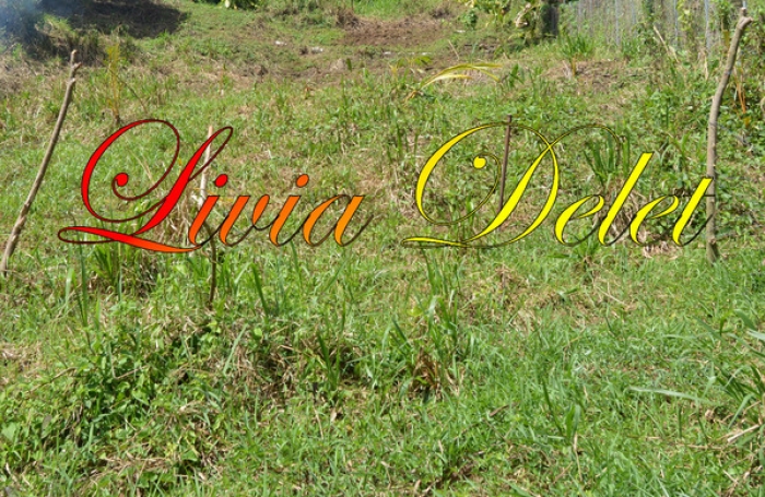 Vente Terrain 900m&sup2; Le Robert