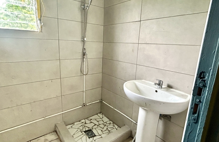 SAINT-JOSEPH - Ensemble immobilier de 185 m2