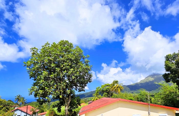 Vente Maison 97260