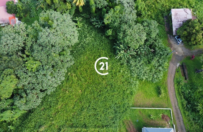 Vente Terrain 97232