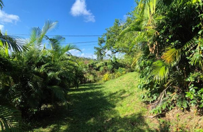 Vente Terrain 97224