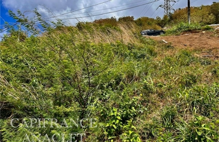 Vente Terrain 898m&sup2; Case-Pilote