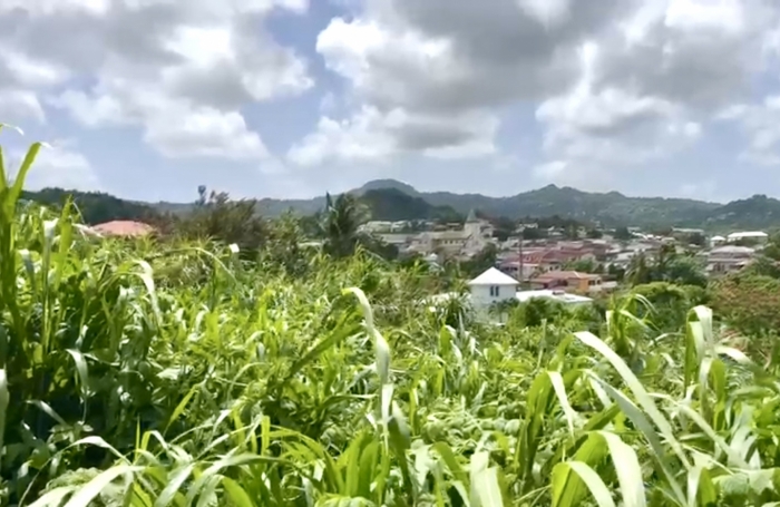 Vente Terrain 97270
