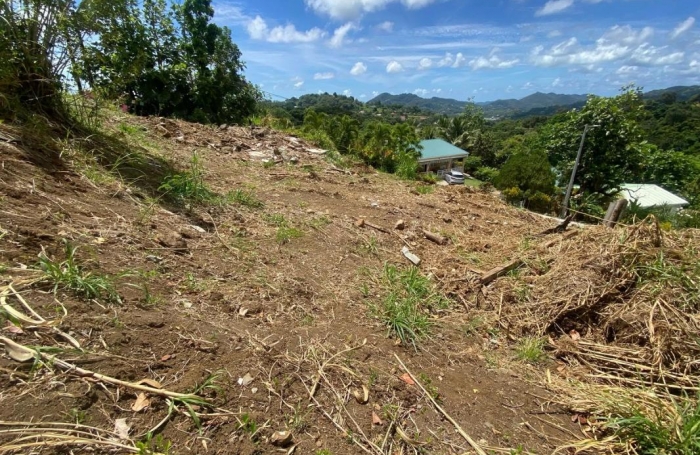Vente Terrain 97280
