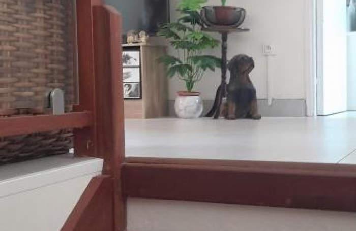 Location Appartement 67m&sup2; 3 pi&#232;ces Les Trois Ilets