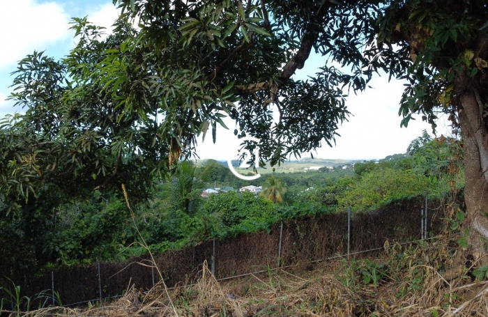 Vente Terrain 97240