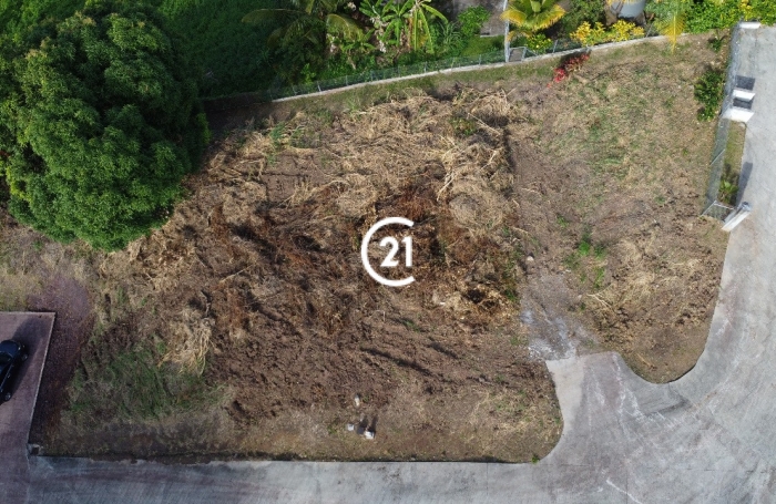 Terrain viabilisé au François