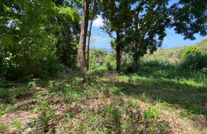 Vente Terrain 97222