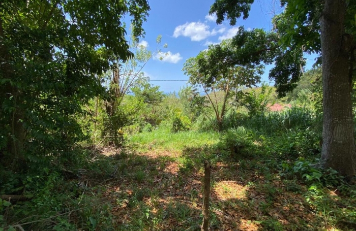 Vente Terrain 97222