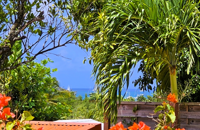 SAINTE ANNE - A VENDRE - VILLA T3 AVEC PISCINE + STUDIO INDEPENDANT