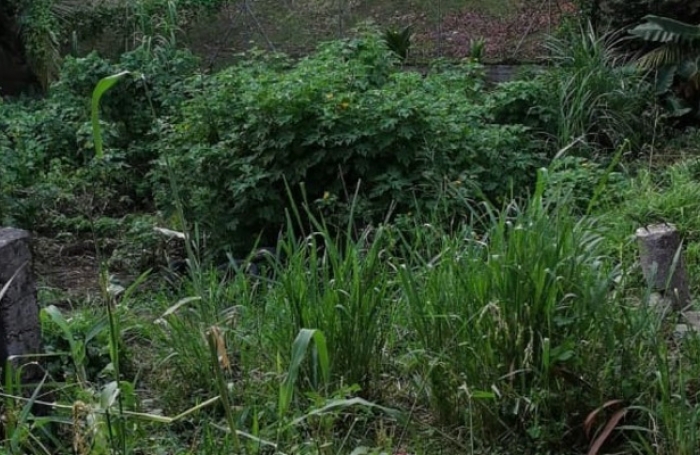 Vente Terrain 508m&sup2; Fort de france