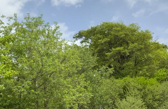 Vente Terrain 308m&sup2; Rivière Salée