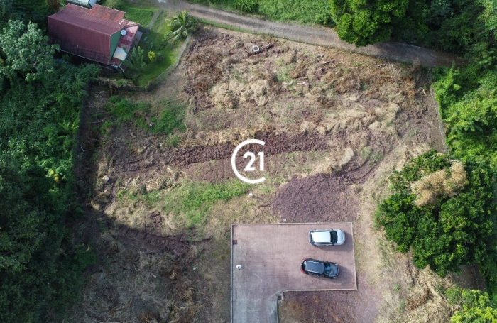 Terrain viabilisé au François