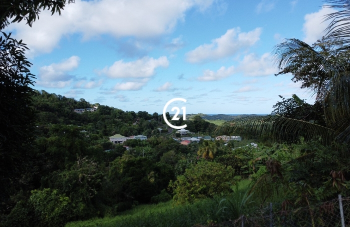 Terrain viabilisé au François