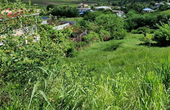 Vente Terrain 97280