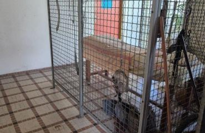 Vente Divers 220m&sup2; Le Marin