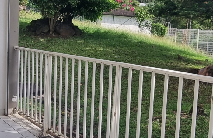 Vente Appartement 59m&sup2; 2 pi&#232;ces Les Trois Ilets