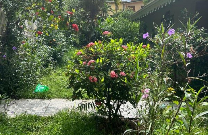Vente Maison 235m&sup2; 9 pi&#232;ces Le Lamentin