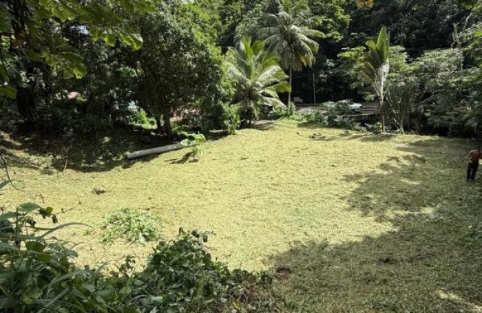 Vente Terrain 1026m&sup2; Les Trois Ilets