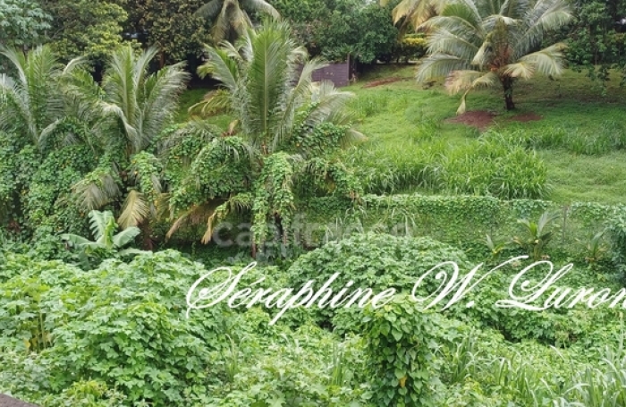 Vente Maison 170m&sup2; 7 pi&#232;ces Fort de france