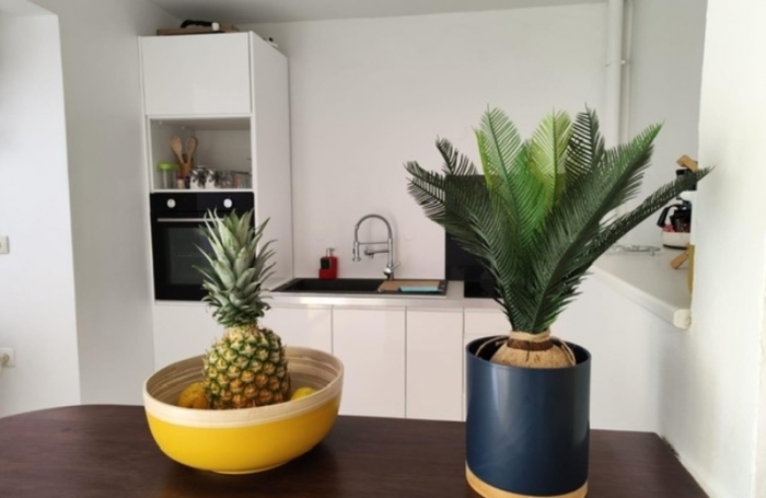 Location Appartement 80m&sup2; 3 pièces Les Trois Ilets