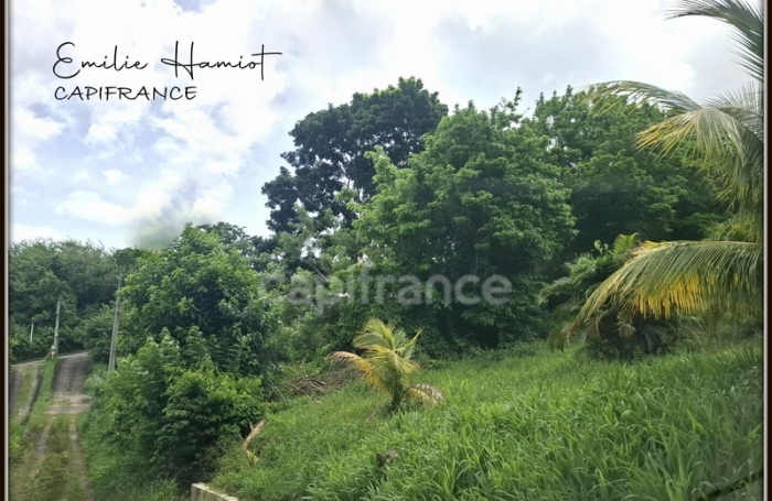 Vente Terrain 97222