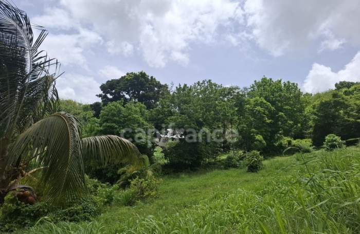 Vente Terrain 776m&sup2; Case-Pilote